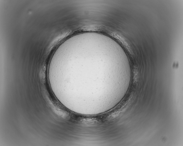 X0000090710586200708101507