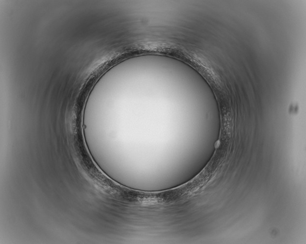 X0000090710587200708101507