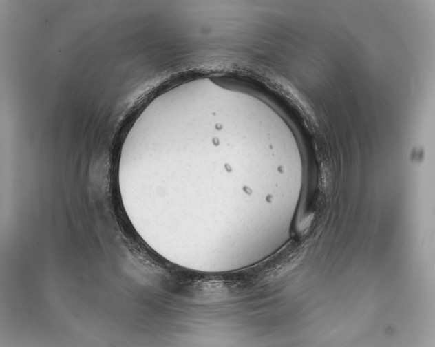 X0000090710588200708101507