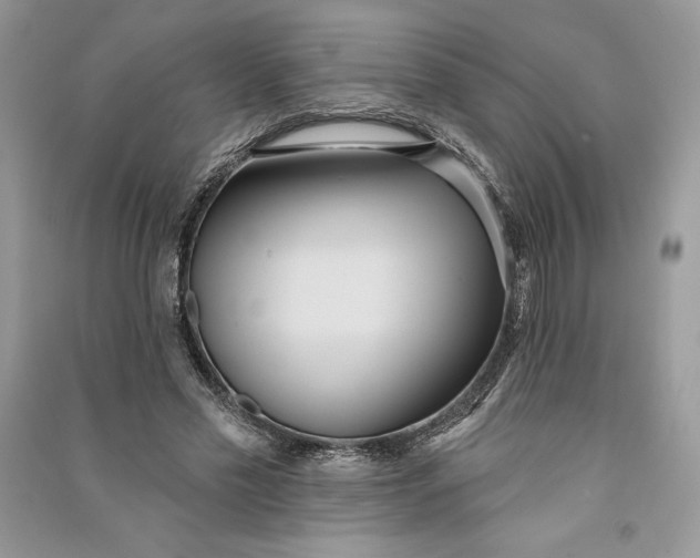 X0000090710589200708101507