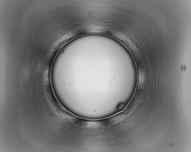 X0000090710591200708101507