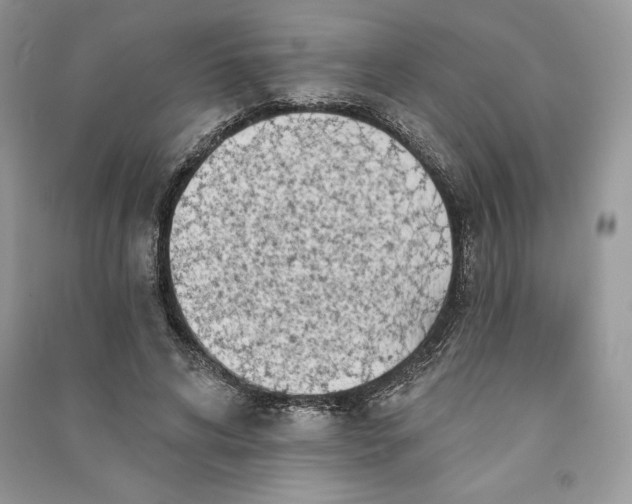 X0000090710592200708101507