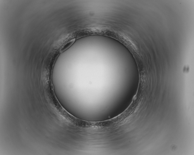 X0000090710593200708101507