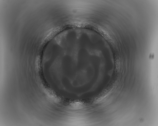 X0000090710594200708101507