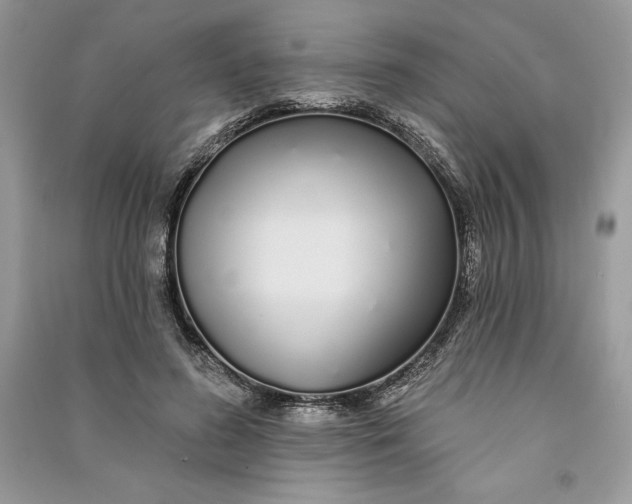 X0000090710596200708101507