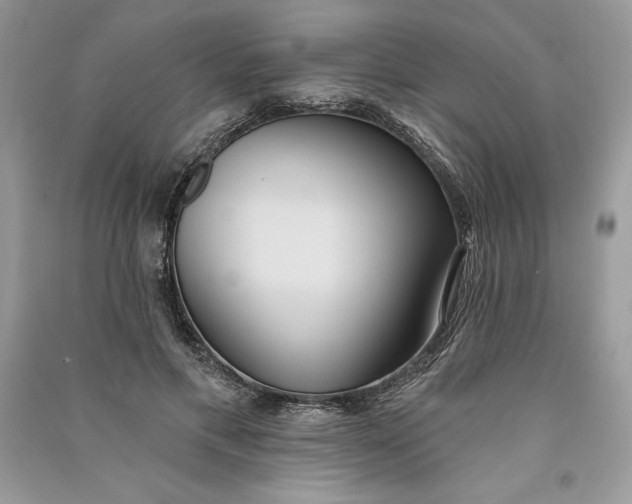 X0000090710597200708101507