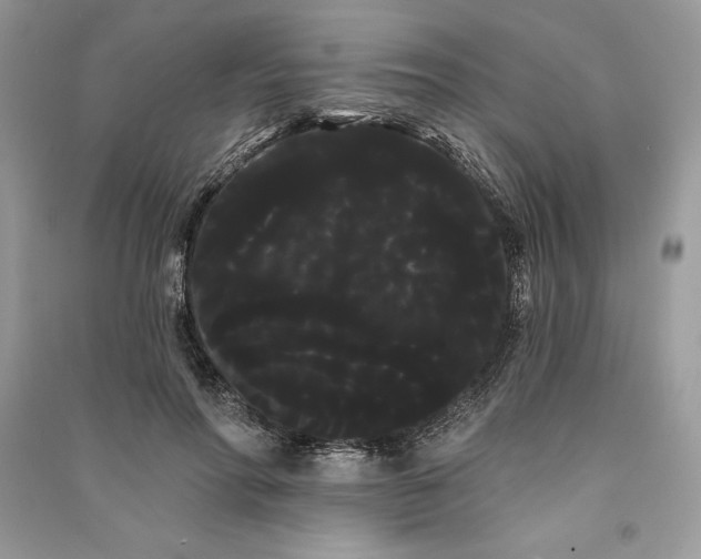 X0000090710598200708101507