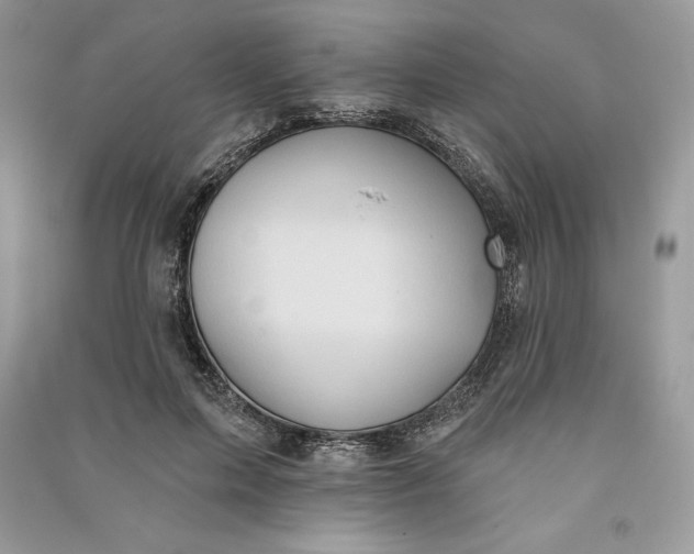 X0000090710599200708101507