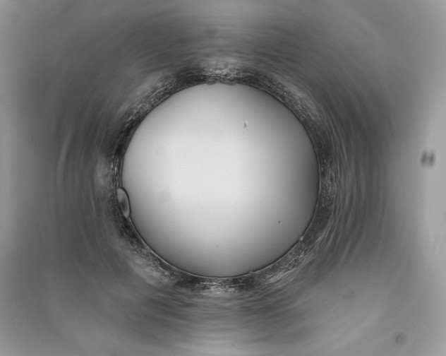 X0000090710601200708101507