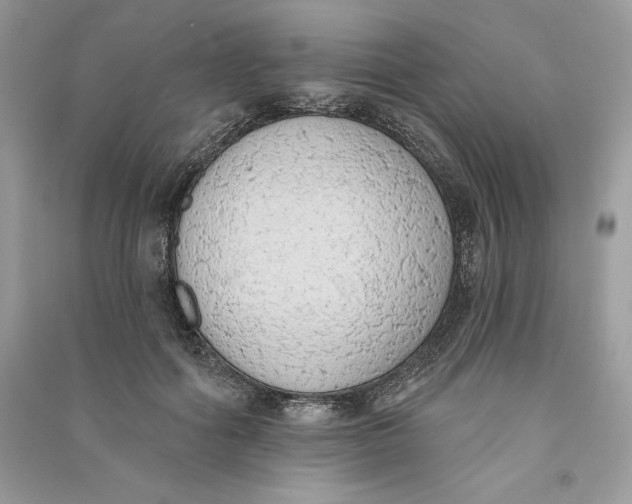 X0000090710602200708101507