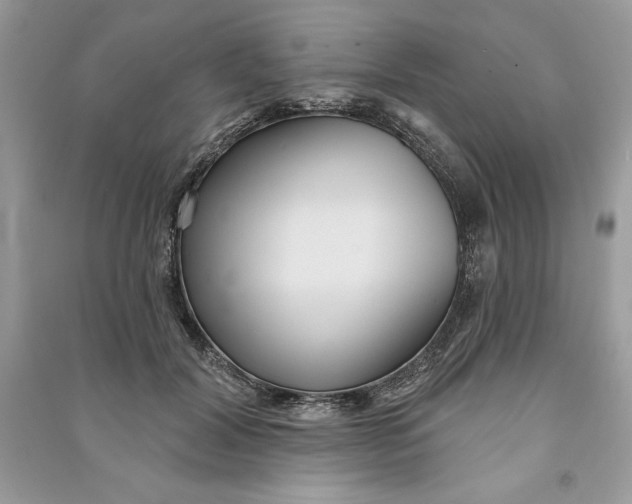 X0000090710604200708101507