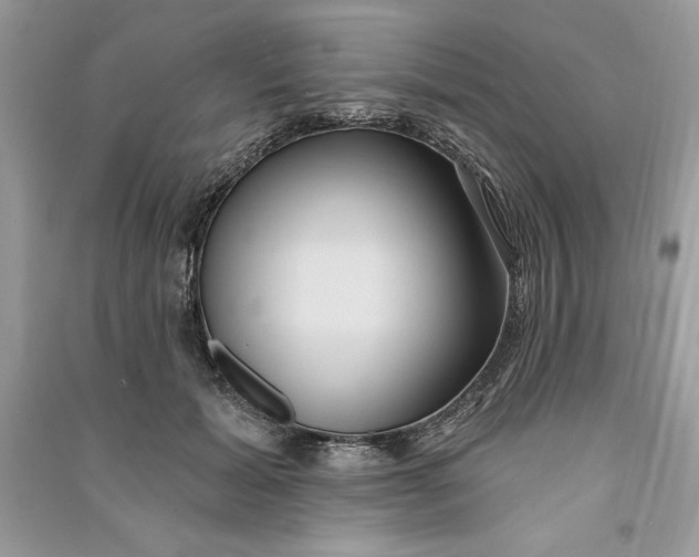 X0000090710605200708101507