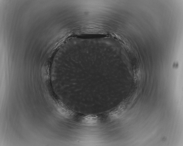 X0000090710606200708101507