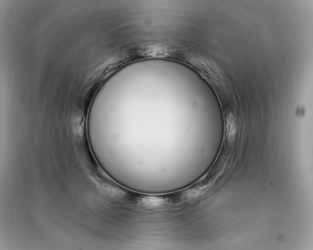 X0000090710607200708101507