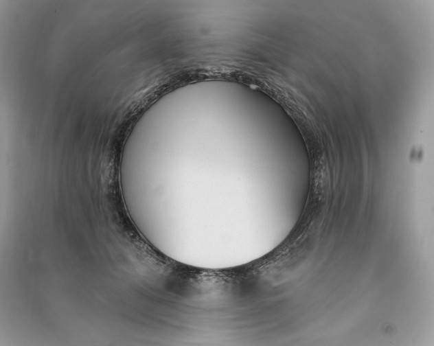 X0000090710608200708101507