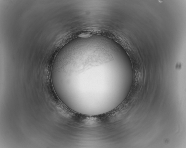 X0000090710609200708101507