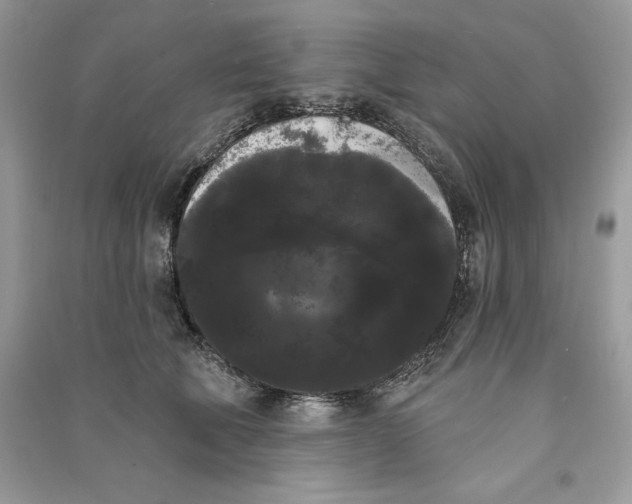 X0000090710610200708101507