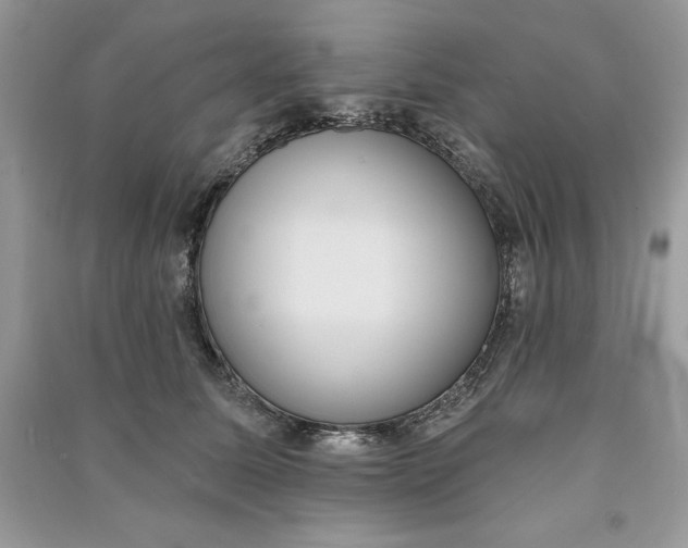 X0000090710611200708101507