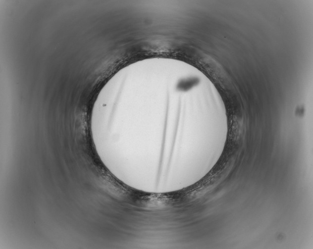 X0000090710612200708101507