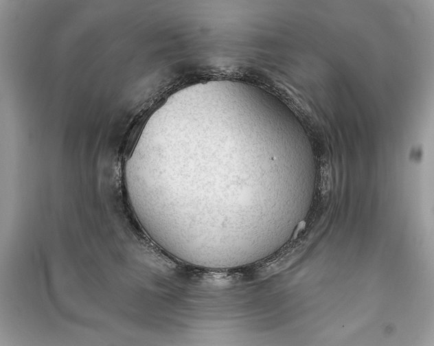 X0000090710613200708101507