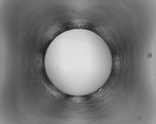 X0000090710615200708101507