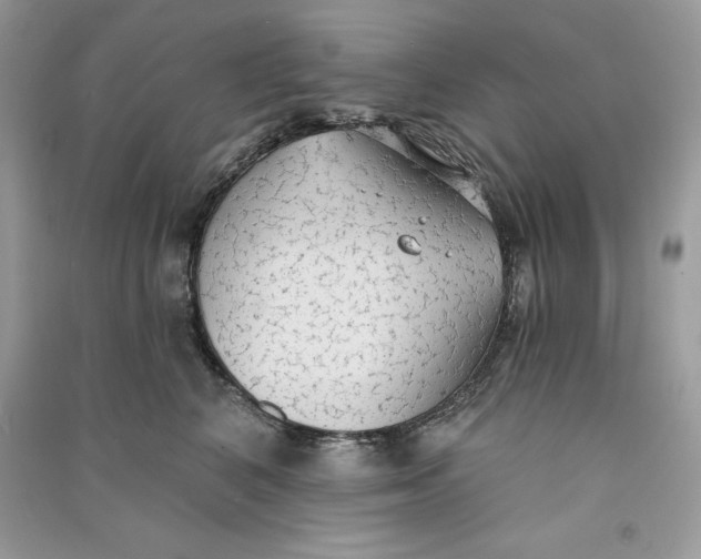 X0000090710616200708101507