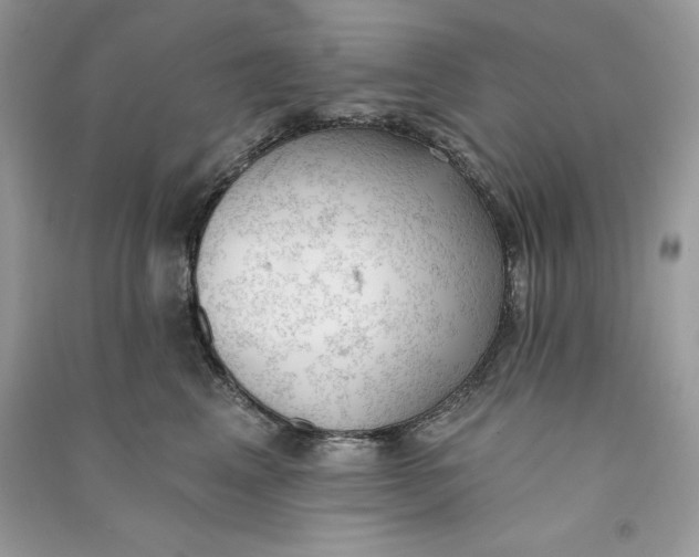 X0000090710617200708101507