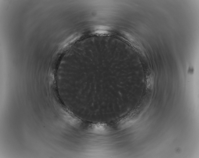 X0000090710618200708101507