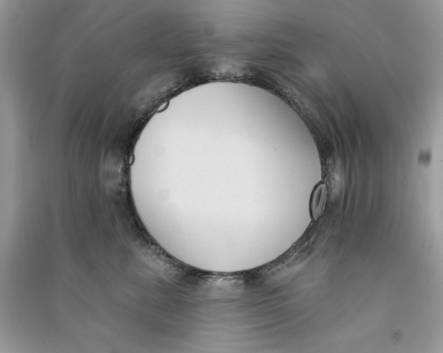 X0000090710619200708101507