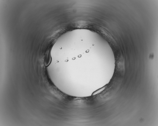 X0000090710620200708101507