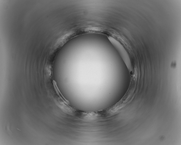 X0000090710621200708101507