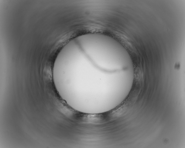 X0000090710622200708101507