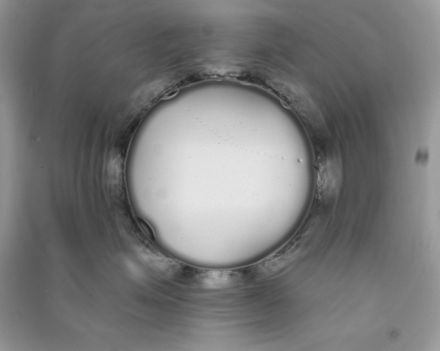 X0000090710623200708101507