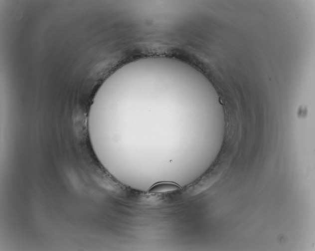 X0000090710624200708101507