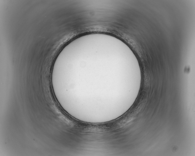 X0000090710625200708101506