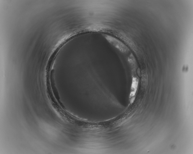 X0000090710626200708101506