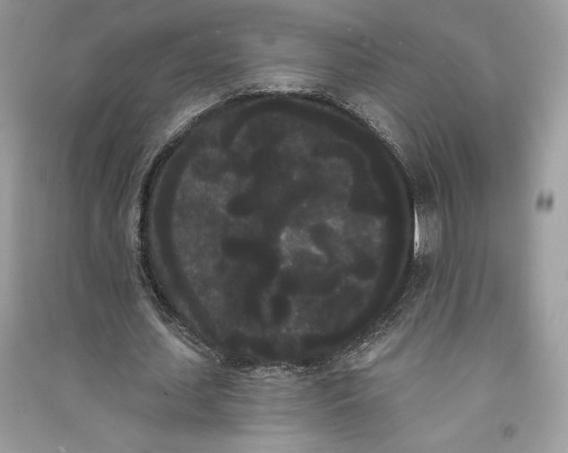 X0000090710627200708101506