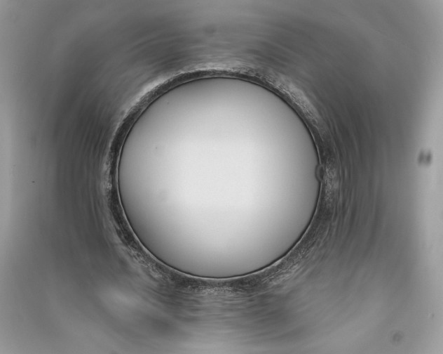 X0000090710628200708101506