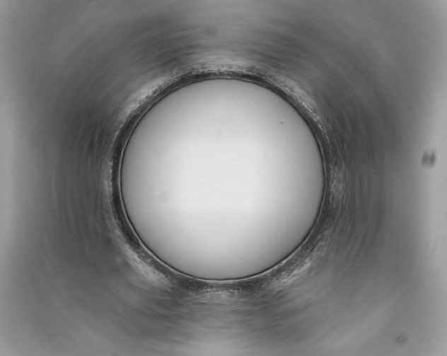 X0000090710629200708101506