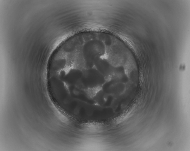 X0000090710630200708101506