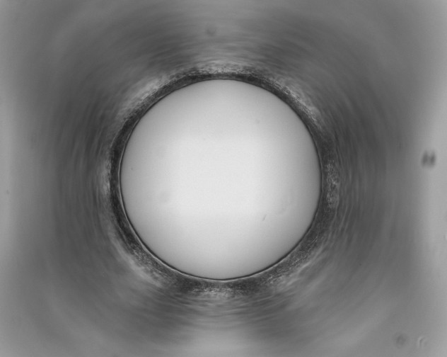 X0000090710631200708101506