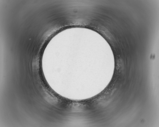 X0000090710632200708101506