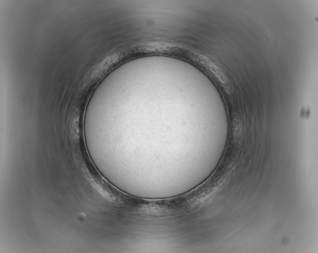 X0000090710633200708101506