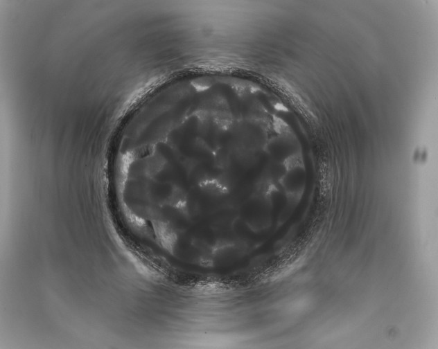 X0000090710634200708101506