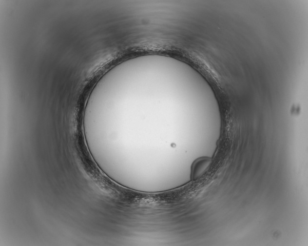 X0000090710635200708101506