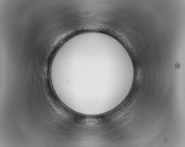 X0000090710636200708101506