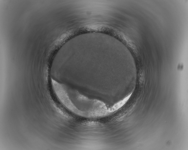 X0000090710637200708101506