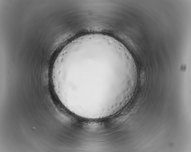 X0000090710638200708101506