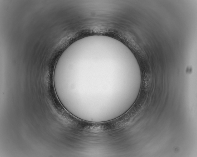 X0000090710639200708101506