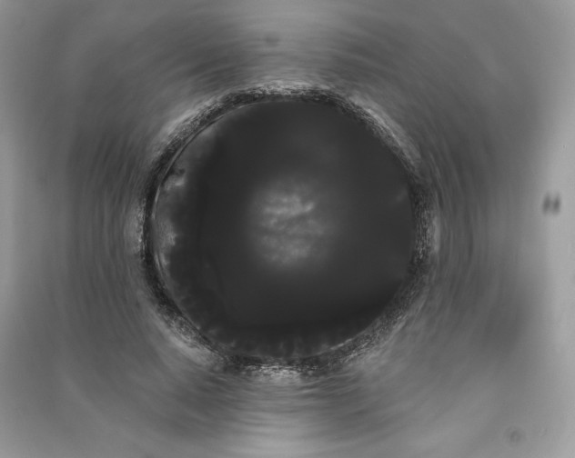 X0000090710640200708101506